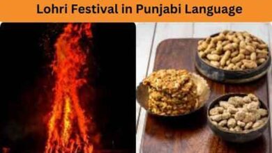 Lohri Festival in Punjabi Language